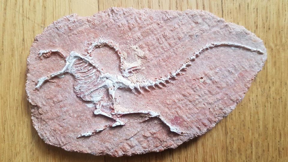 Kinder Spielzeug Fossil Dinosaurier Urzeit TOP Zustand in Wiesbaden