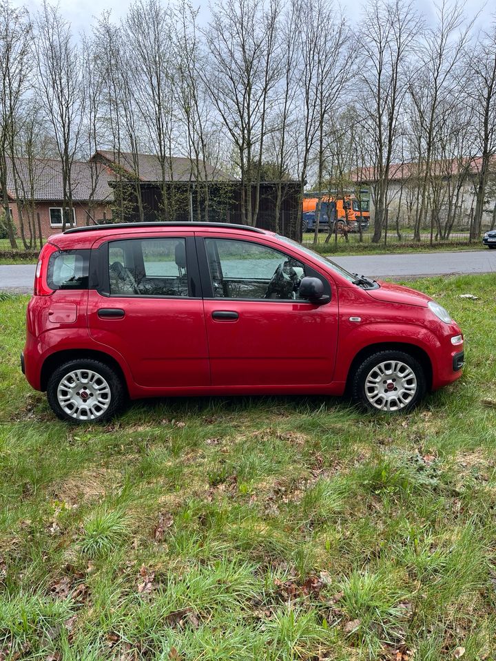 Fiat Panda 1.2 Klima, Carplay, Gepflegt in Kiel