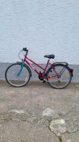 Damenfahrrad 26 Zoll West - Griesheim Vorschau