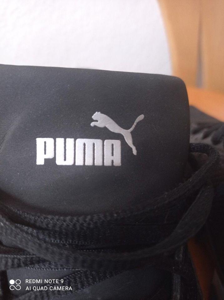 Puma, unisix Schuhe Größe 40,5.wie neu. in Wiesbaden