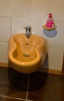 Bidet, Colani-Bad curry-gelb, Villeroy und Boch Rheinland-Pfalz - Dannstadt-Schauernheim Vorschau