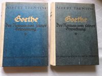 Goethe Der Roman von seiner Erweckung Albert Trentini antiquarisc Leipzig - Connewitz Vorschau