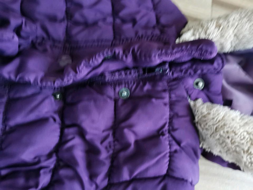 Winterjacke Mädchen Gr. 86 in Meißen