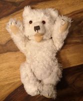 Weißer Teddy ° Zotty ° Hermann ° Teddybär Dortmund - Innenstadt-West Vorschau