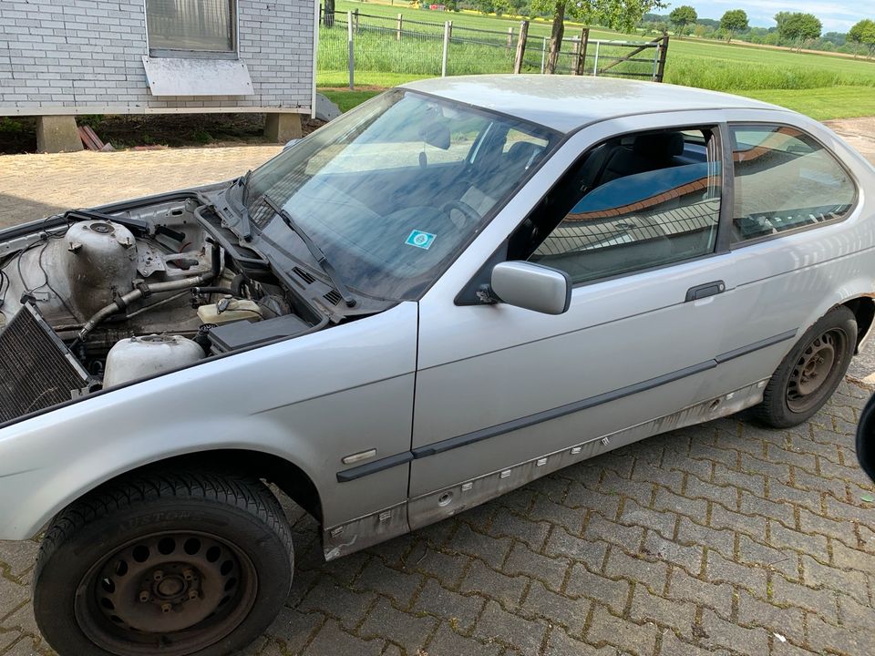 BMW E36 Compact Schlachter Schlachtfest in Werl