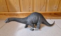 Schleich Apatosaurus 14501 Buchholz-Kleefeld - Hannover Groß Buchholz Vorschau