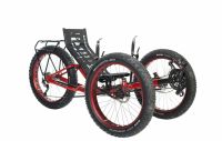 AZUB FAT - Liegerad / Liegedreirad / Trike Nordrhein-Westfalen - Detmold Vorschau