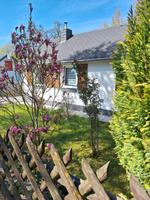 Kleine DHH, Single Haus, 50 qm Wfl, Grundstück 227 qm in Limburg Hessen - Limburg Vorschau