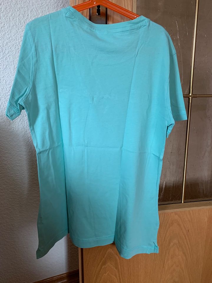 Champion T-Shirt Gr. S 36/38 Damen in Schwobfeld