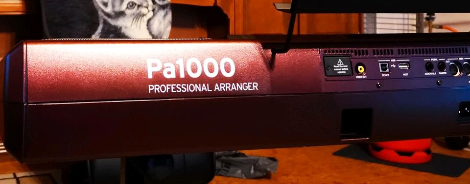 Korg PA1000 Keyboard Professional in Waldesch