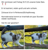 Kater Vermisst Bayern - Perlesreut Vorschau