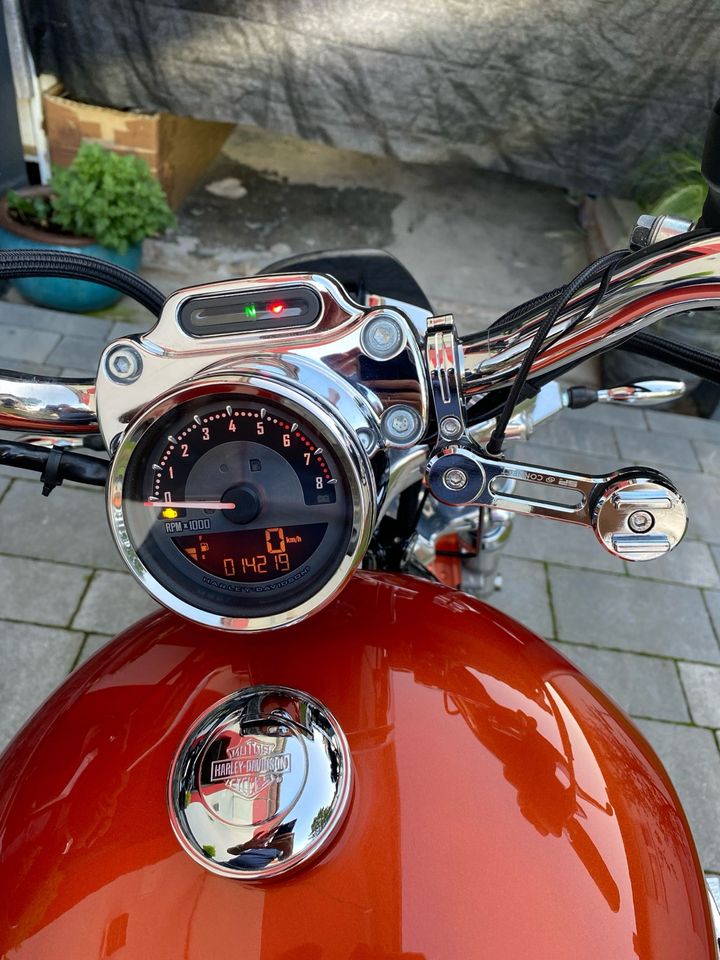 Harley Davidson 1200 Custom in Frankenthal (Pfalz)