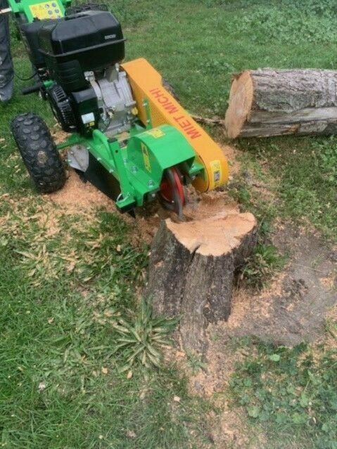 Wurzelfräse mieten Baumstumpffräse leihen Stumpf entfernen in Ilsenburg (Harz)