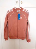 NEU Adidas Jacke Damen Ashpink Training Freizeit Gr. XS München - Maxvorstadt Vorschau