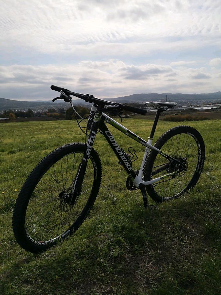 Cannondale Si 29 Lefty Carbon Shimano in Lichtenfels