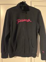 Puma hoodie Pullover Hamburg-Nord - Hamburg Winterhude Vorschau