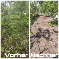 Rasenpflege • Vertikulieren • Samen säen Gartenarbeit Elberfeld - Elberfeld-West Vorschau