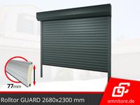 Tor aus Polen Rolltor nach Maß KOSTENLOSE VERSAND Garagentor mit Geragentorantrieb 268 x 230 cm Rolltore GUARD für Carport DDR Garage GARAGENTOR KONFIGURATOR Sachsen - Görlitz Vorschau