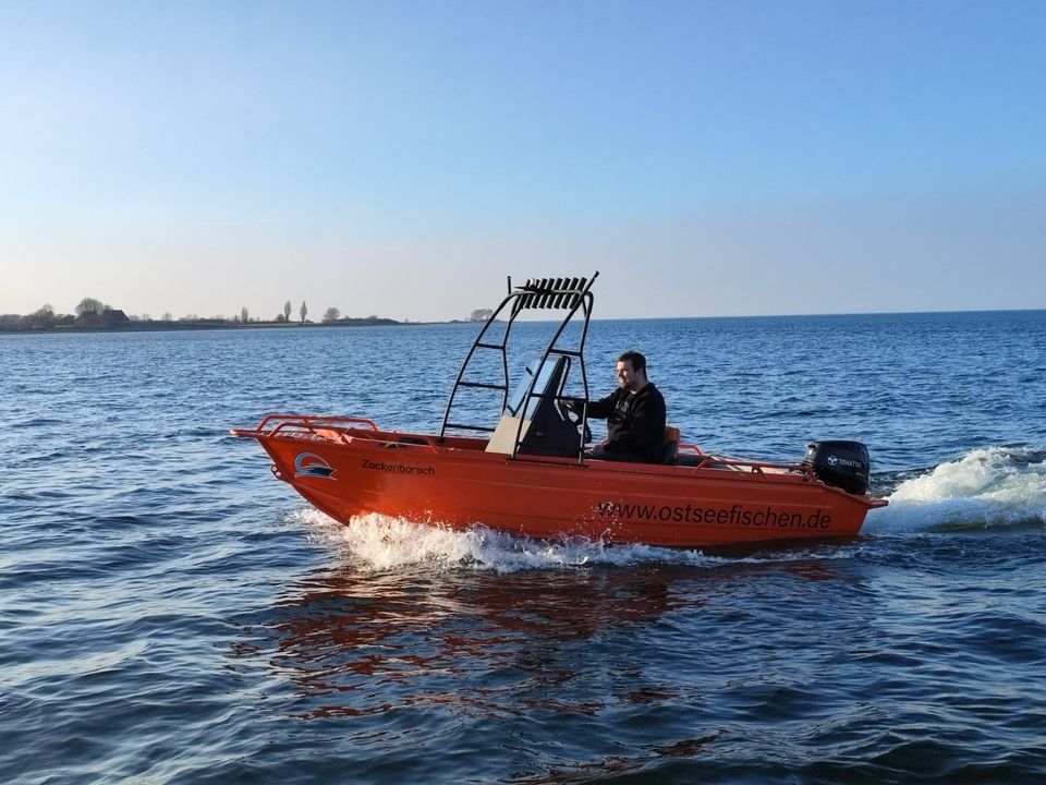 Zackenbarsch 15PS Führerscheinfrei Mietboot 6 Stunden Angelboot in Lütjenburg