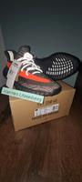 Yeezy Carbon Beluga/Dark Beluga 46 NEU!!! Sachsen-Anhalt - Hettstedt Vorschau
