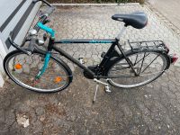 Fahrrad kettler Bayern - Oberasbach Vorschau