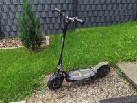 E-Scooter SXT300 Hessen - Battenberg Vorschau