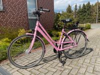 Rosa Damenrad Fahrrad Nordrhein-Westfalen - Ibbenbüren Vorschau