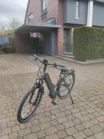 Raleigh Bristol XXL E-Bike 227km Münster (Westfalen) - Hiltrup Vorschau