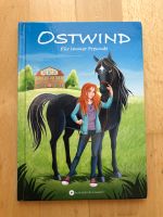 Buch Ostwind Erstleser Band 1 für 3,50 Euro Bayern - Schrobenhausen Vorschau