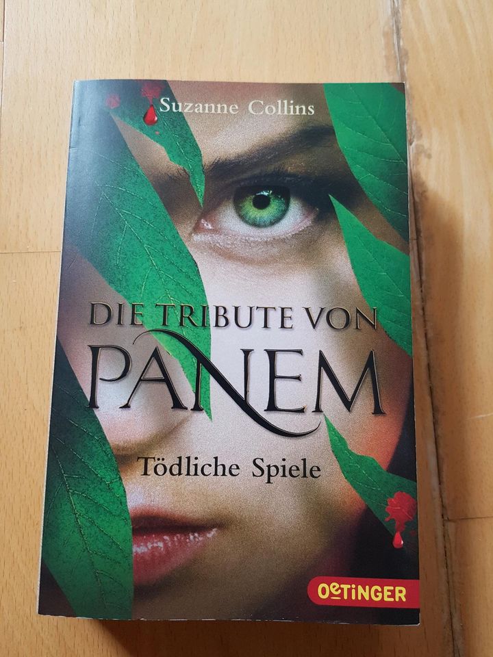 Die Tribute von Panem in Möglingen 