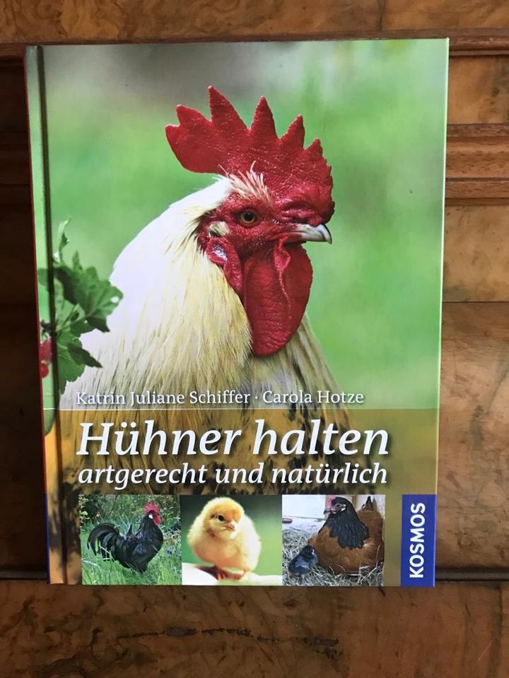 Hühner Haltung / Hühnerrassen in Ratzeburg