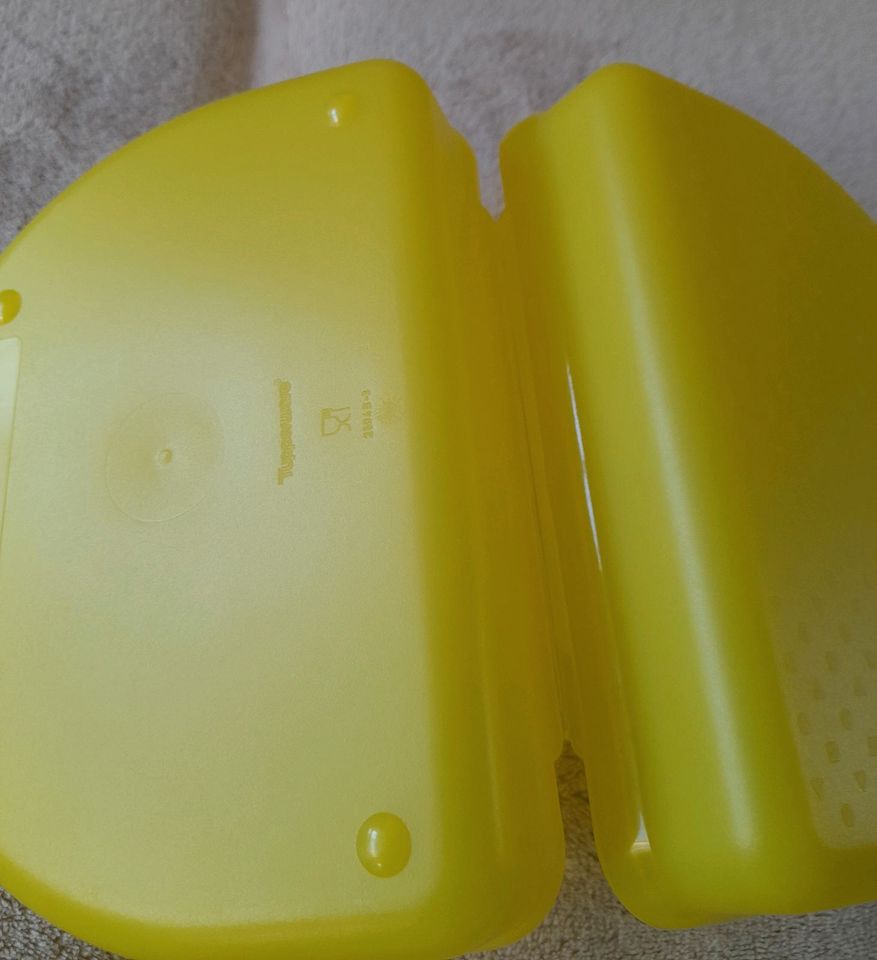 Tupperware Snacky Pausenbox in Steinberg