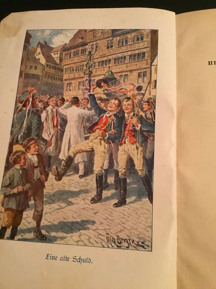 Altes Buch spätes Glück von Ottilie Wildermuth ca. 1900 in Vogt