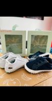 Lacoste Zwillinge Babyschuhe Krabbelschuhe Sneaker Lauflernschuhe Hessen - Kassel Vorschau