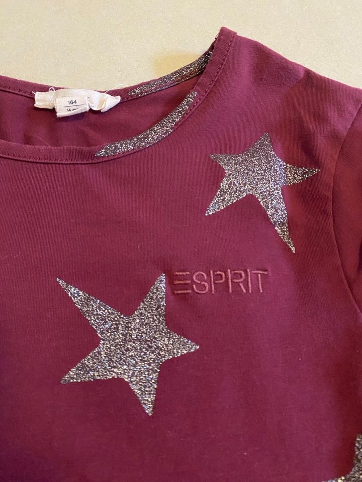 Esprit Kleid Sterne Grösse 164 w neu in Flensburg