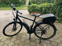 Pegasus Solero EBIKE Herren wie neu Bayern - Moosburg a.d. Isar Vorschau