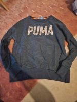 Puma Pullover Bayern - Schillingsfürst Vorschau