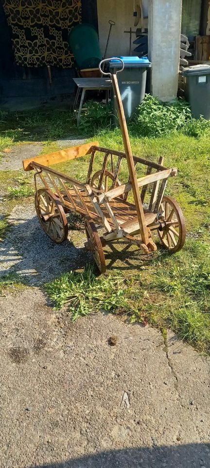 Alter Handwagen Leiterwagen Holzwagen in Zeulenroda