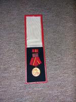Abzeichen DDR Orden Kampfgruppe Sachsen-Anhalt - Teutschenthal Vorschau