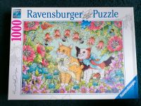 PUZZLE 1000 Teile Katzen Ravensburger Puzzle Nordrhein-Westfalen - Alfter Vorschau