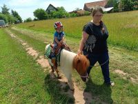 Kinder Ponyreiten spazierengehen mit Pferd Pony Kinderreiten Bayern - Geroda Vorschau