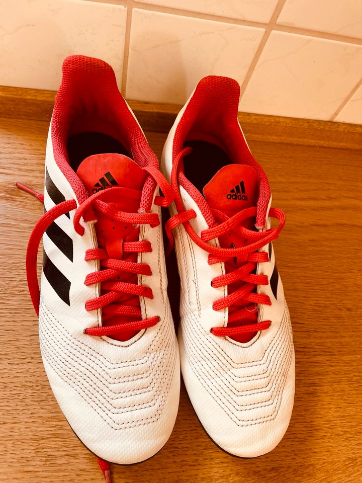 Fußballschuhe Adidas Predator in Dinklage