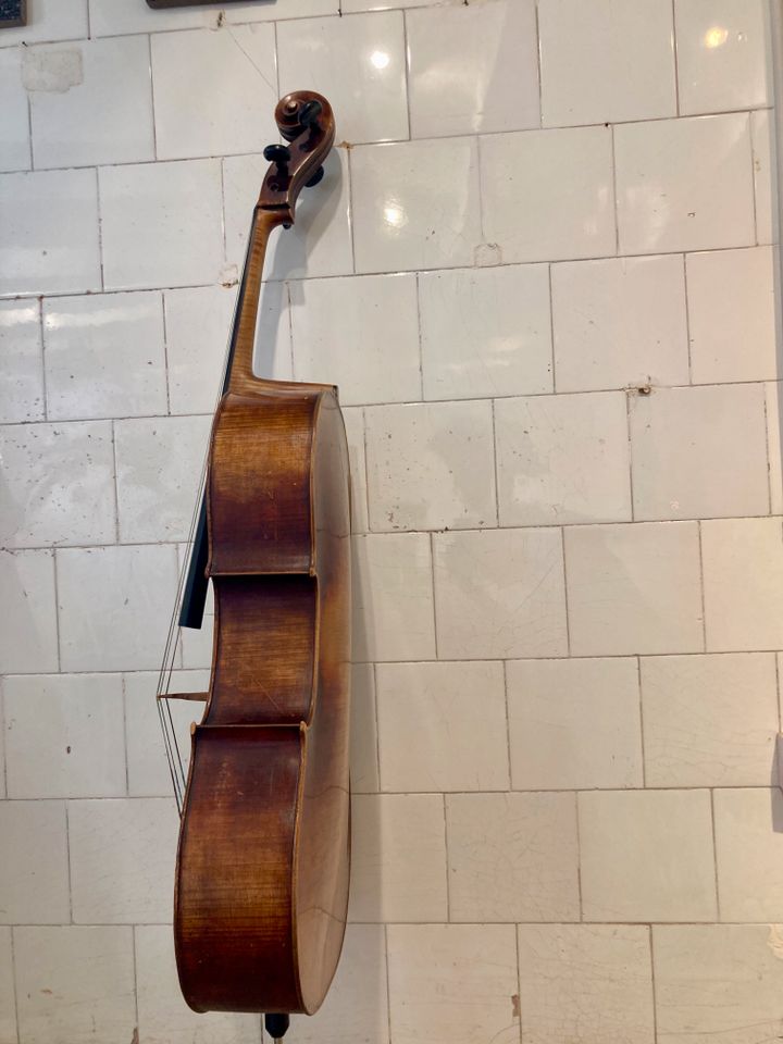 Cello / Violoncello 4/4 in Köln