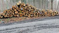 Stammholz,Buche, Esche Holzpolter Brennholz LKW-Ladung Baden-Württemberg - Tettnang Vorschau