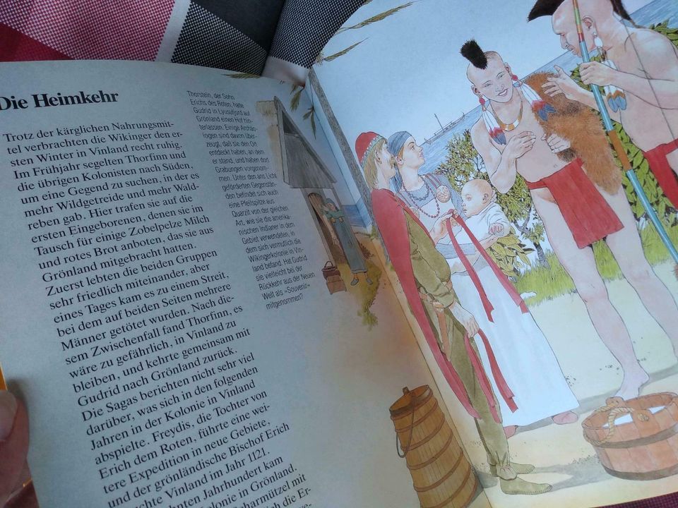 Die Wikinger,die wagenmutigen Seefahrer des Nordens, Kinder Buch in Ellingen