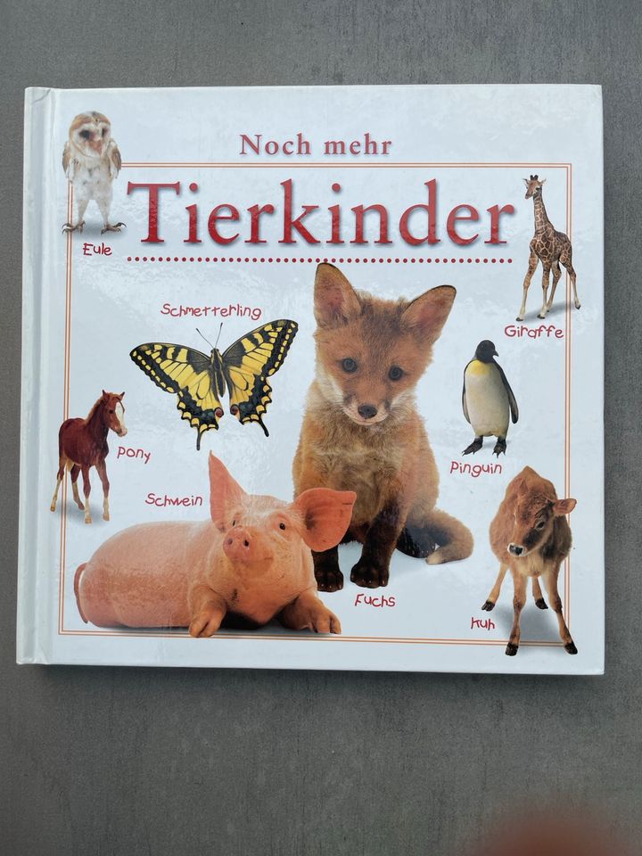 Kinderbuch Noch mehr Tierkinder mit vielen Fotos in Swisttal