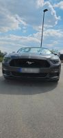 Ford Mustang  MK6 Nordrhein-Westfalen - Kamen Vorschau