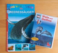 Wale&Delphine/Meeressäuger DVD & Klappbuch, Versand möglich Nordrhein-Westfalen - Lügde Vorschau