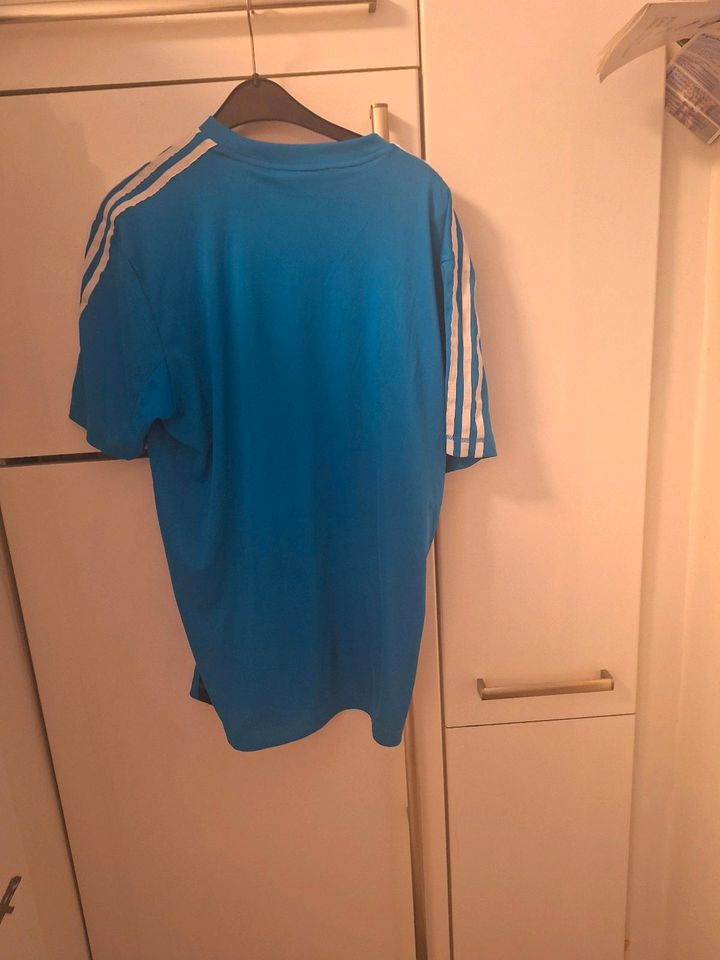 Adidas  Shirt L in Bergkamen