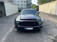 Ford Mustang Shelby GT500 SVT 5.4L Kompressor V8 Bonn - Beuel Vorschau